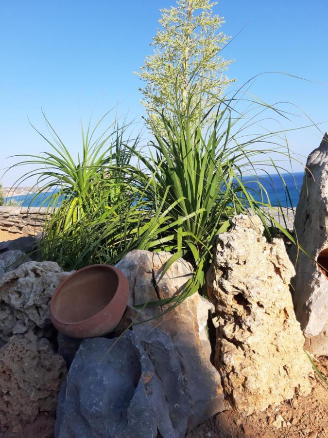 Breathtaking Sea View Flat In South Crete Apartamento Keratokambos Exterior foto